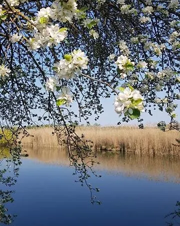 شقة Haus Blumenfeld-schwaiger Übersee
